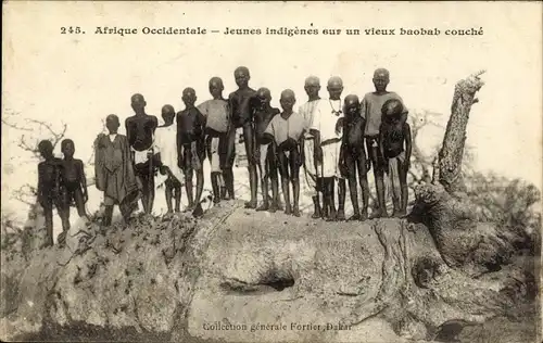 Ak Senegal, afrikanische Jungen auf dem Stamm eines Baobab, umgestürzter Baum
