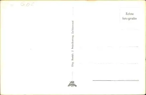 Ak Zaltbommel Gelderland, Nieuwbouw