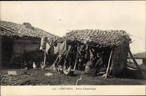 Ak Vertekop Griechenland, Entlausungsszene, Dorfansicht, Hühner