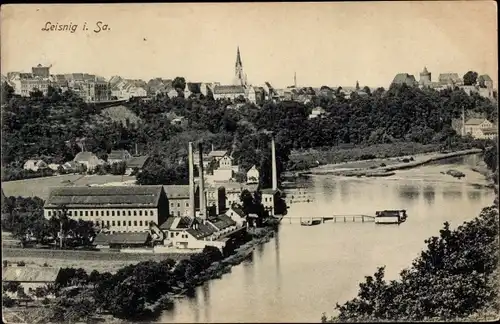 Ak Leisnig in Sachsen, Totalansicht, Fluss, Fabrik