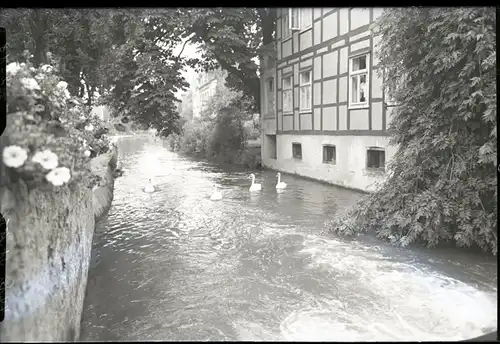 6 Glas Negative Detmold in Nordrhein Westfalen, Park, Einkaufsstraße, Bach