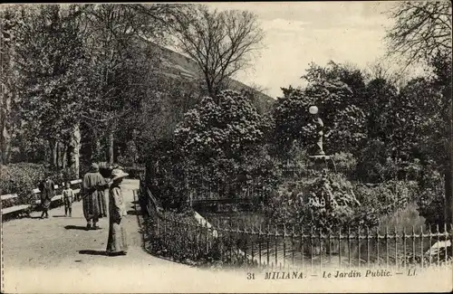 20 alte Ak Algerien, Diverse Ansichten Miliana, Chrea, Bone, Biskra, Tlemcen, Mostaganem, Oran