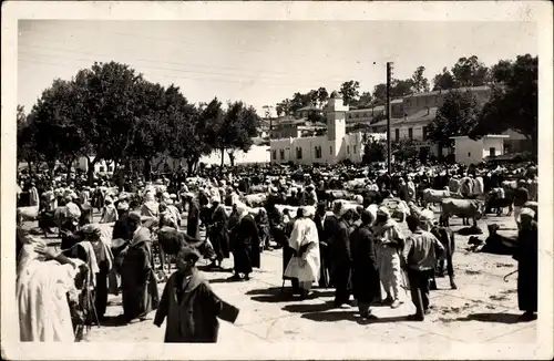 18 alte Ak Algerien, Diverse Ansichten Oran, Algier, Blida, Colomb Bechar, Lalla Maghrnia, Bone