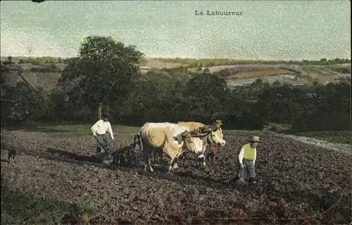 Ak Bauern bei der Arbeit, Pflug, Landwirtschaft, Kühe