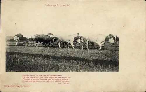 Ak Bauern bei der Arbeit, Pflug, Landwirtschaft, Kühe