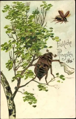 Präge Litho Glückwunsch Pfingsten, Maikäfer winkt mit Taschentuch, Abschied, Birke