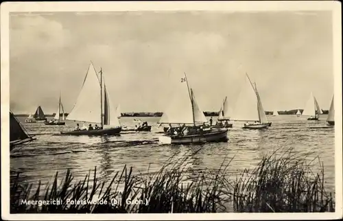 Ak Paterswolde Drenthe Niederlande, Meergezicht, Boote