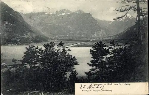 Ak Seelisberg Kanton Uri, Blick vom Seelisberg auf Urnersee