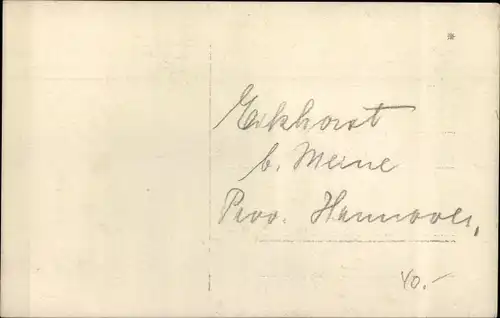 Foto Ak Eckhorst Meine in Niedersachsen, Villa