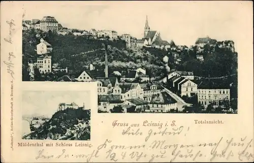 Ak Leisnig in Sachsen, Totale, Müldenthal mit Schloss