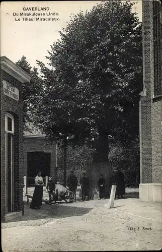 Ak Melsele Ostflandern, De Mirakuleuse Linde