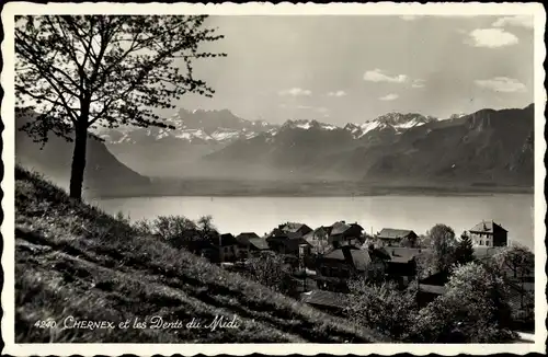 Ak Chernex Montreux Kanton Waadt, Panorama, Dents du Midi