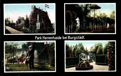 Ak Herrenhaide Burgstädt in Sachsen, Park Herrenhaide, Rehe, Irrgarten