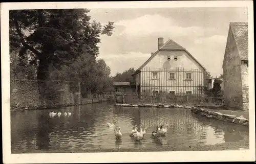 Ak Pließkowitz Malschwitz in Sachsen, Mühle, Wasserpartie mit Gänsen