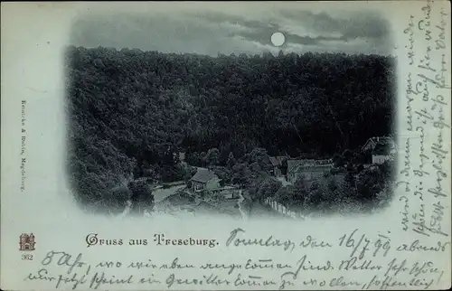 Mondschein Ak Treseburg Thale im Harz, Totalansicht