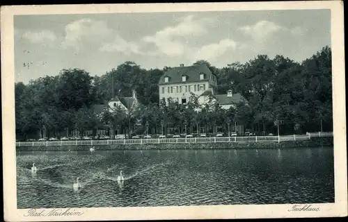 Ak Bad Nauheim in Hessen, Teichhaus, Promenade, Schwäne