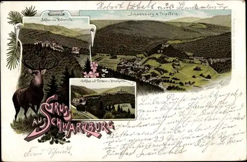 Litho Schwarzburg in Thüringen, Schloss v. Helenensitz, Blick v. Tripstein, Hirschwiese