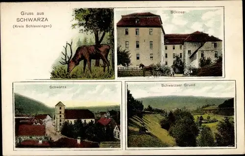 Ak Schwarza Thüringen, Schloss, Schwarzer Grund, Ortsansicht