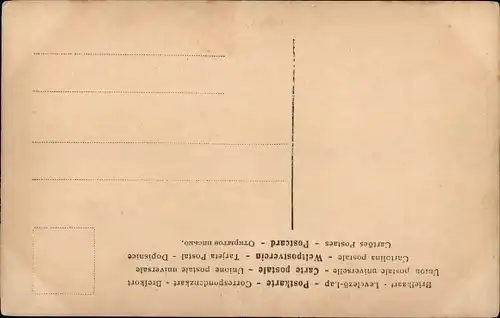 Ak Prinz Wilhelm von Preußen, der jüngste Hohenzoller, Kutsche