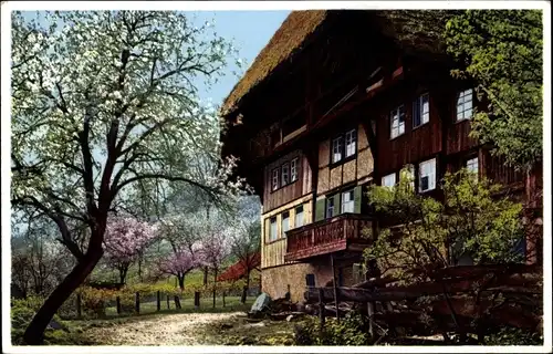 Ak Dorfidyll, Wohnhaus, Blühende Bäume