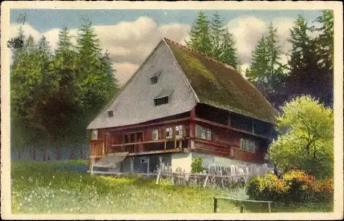 Ak Dorfidyll, Wohnhaus, Wald, Tannenbäume