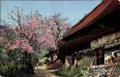 Ak Gutachtal Schwarzwald, Nenke und Ostermaier 169 3005