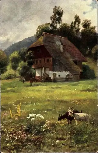 Künstler Ak Hoffmann, H., Im blühenden Wiesengrund, Schwarzwaldserie, Ziegen, Bauernhaus