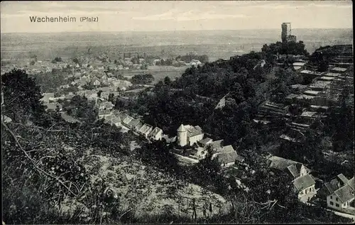 Ak Wachenheim in der Pfalz, Gesamtansicht
