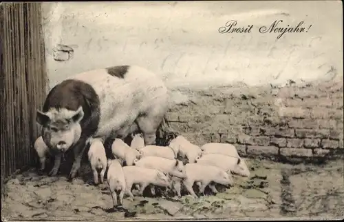 Ak Glückwunsch Neujahr, Schweine-Familie, Schweinestall