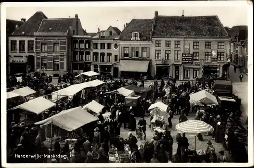 Ak Harderwijk Gelderland, Marktdag