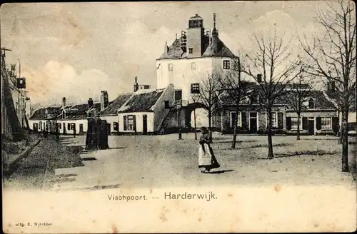 Ak Harderwijk Gelderland, Vischpoort