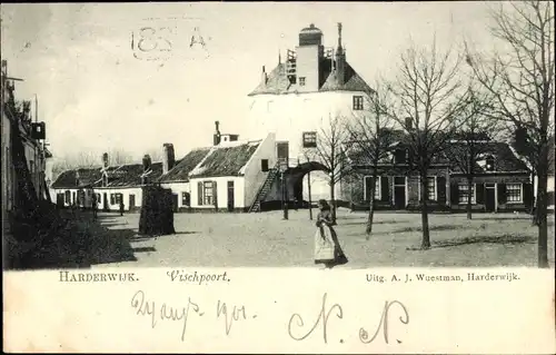 Ak Harderwijk Gelderland, Vischpoort