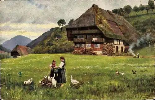 Künstler Ak Hoffmann, H., Auf sonniger Höhe, Schwarzwald, Gänse, Bauernhaus, Kinder