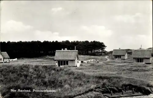 Ak Nes Ameland Friesland Niederlande, Provinzhäuser