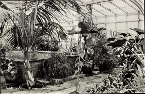 Ak Frederiksoord Drenthe, Hotel Frederiksoord, Blumengewächshäuser