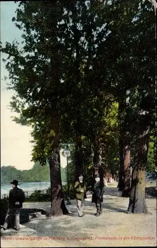 Ak Freiberg in Sachsen, Promenade in der Königsallee