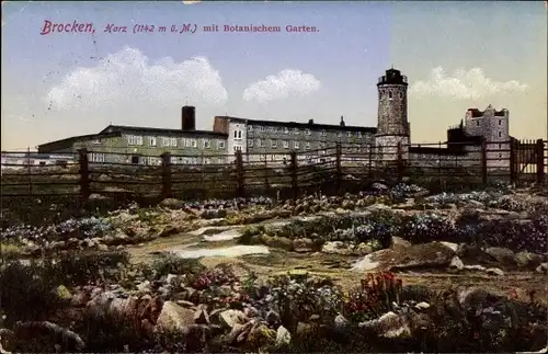 Ak Brocken Nationalpark Harz, Botanischer Garten