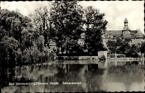 Ak Bad Schmiedeberg in der Dübener Heide, Schwanenteich