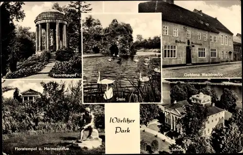 Ak Oranienbaum Wörlitz in Anhalt, Wörlitzer Park, Venustempel, Goldene Weintraube, Floratempel