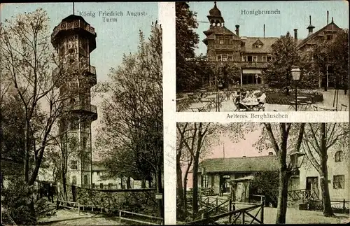 Ak Löbau in Sachsen, Löbauer Berg, König Friedrich August-Turm, Honigbrunnen, Älteres Berghäuschen