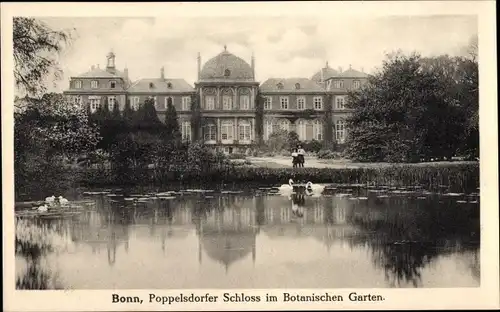Ak Bonn am Rhein, Poppelsdorfer Schloss, Botanischer Garten, Schwäne