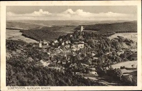 Ak Bad Lobenstein in Thüringen, Totalansicht, Geheeg