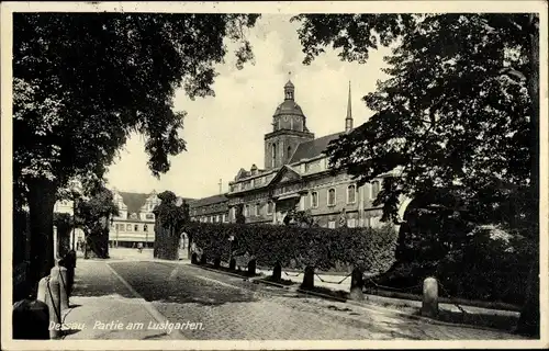 Ak Dessau, Straßenpartie, Lustgarten, Gebäude