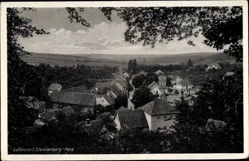 Ak Stecklenberg Thale im Harz, Totalansicht