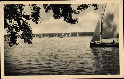 Ak Lehnitz an der Nordbahn Oranienburg, Seelöwe, Segelboote