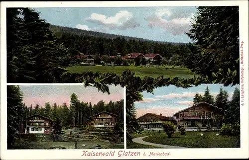 Ak Kladská Glatzen Mariánské Lázně Marienbad Region Karlsbad, Kaiserwald, Tannenbäume