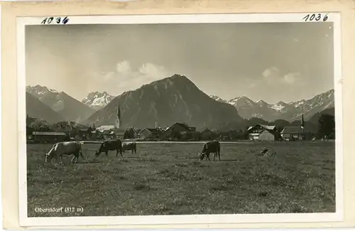 7 Glas Negative Oberstdorf im Oberallgäu, Zaun, Gesamtansicht, Alpen