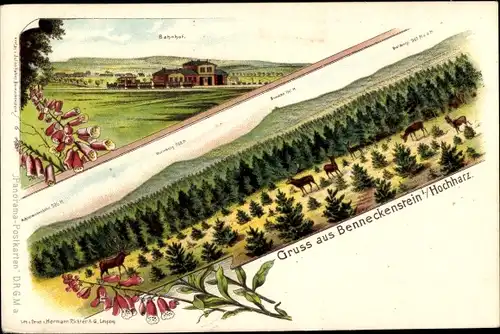 Litho Benneckenstein Oberharz, Bahnhof, Achtermannshöhe, Wurmberg, Brocken, Drei Annen