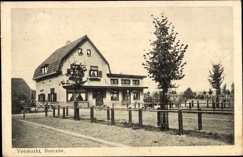 Ak Borculo Gelderland, Veemarkt