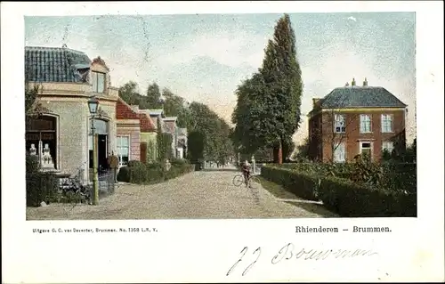 Ak Brummen Gelderland, Rhienderen